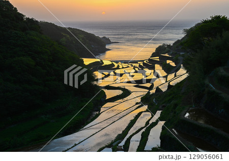 玄海灘の絶景 浜野浦棚田 玄海灘の絶景 浜野浦棚田 129056061