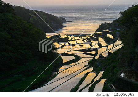 玄海灘の絶景　浜野浦棚田 129056065