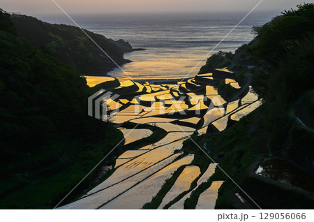 玄海灘の絶景 浜野浦棚田 玄海灘の絶景 浜野浦棚田 129056066