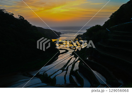 玄海灘の絶景　浜野浦棚田 129056068