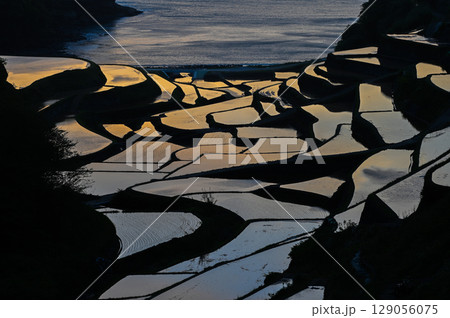 玄海灘の絶景　浜野浦棚田 129056075