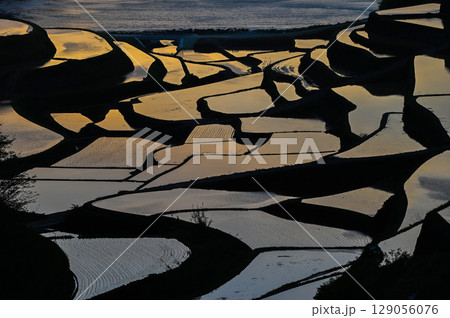 玄海灘の絶景 浜野浦棚田 玄海灘の絶景 浜野浦棚田 129056076