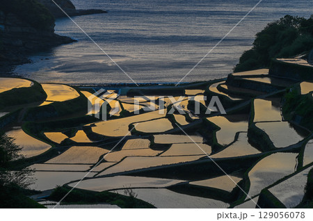 玄海灘の絶景 浜野浦棚田 玄海灘の絶景 浜野浦棚田 129056078