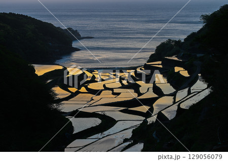 玄海灘の絶景　浜野浦棚田 129056079