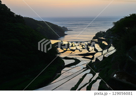 玄海灘の絶景　浜野浦棚田 129056081