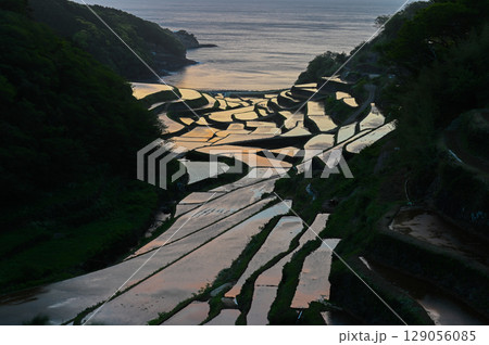 玄海灘の絶景　浜野浦棚田 129056085