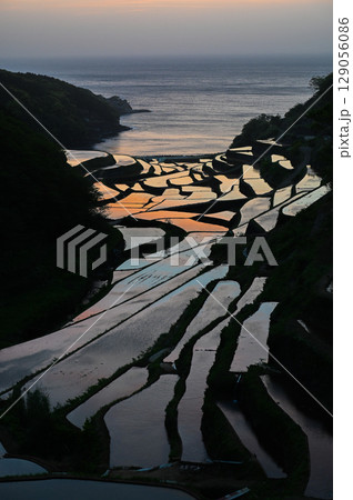 玄海灘の絶景 浜野浦棚田 玄海灘の絶景 浜野浦棚田 129056086