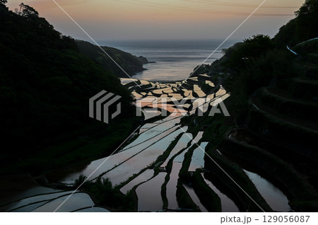 玄海灘の絶景　浜野浦棚田 129056087