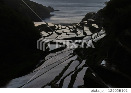 玄海灘の絶景　浜野浦棚田 129056101