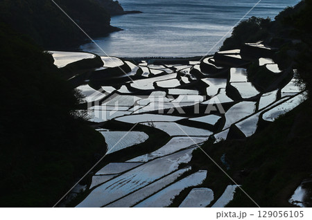 玄海灘の絶景 浜野浦棚田 玄海灘の絶景 浜野浦棚田 129056105