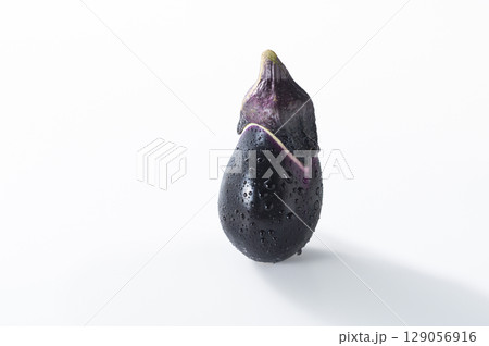 深雪なす 深雪なす 129056916