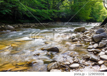 nature landscape with lyuta river in foliage forest. rocks in fresh water stream. wild outdoor scenery in summer. beautiful green environment background for travel or vacation in ukraine 129056936