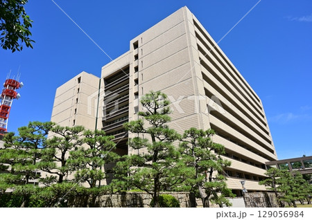 行政機関・福井県庁(福井県)と松の木 行政機関・福井県庁(福井県)と松の木 129056984