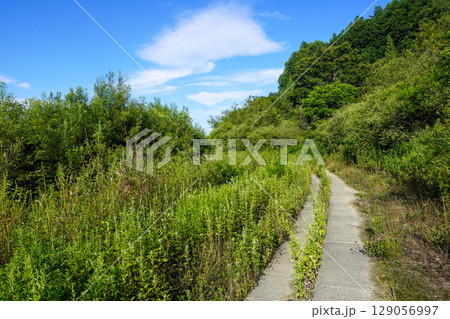 十勝川の河川敷(千代田堰堤付近 十勝川の河川敷(千代田堰堤付近 129056997