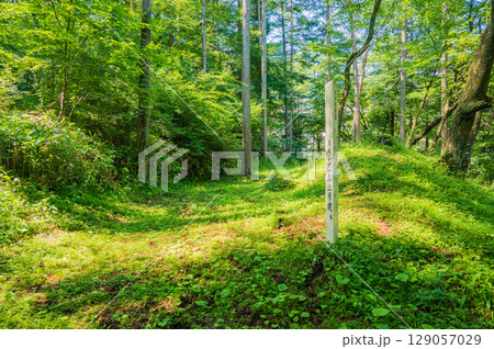 【善知鳥峠】旧伊那街道【三州街道】 129057029