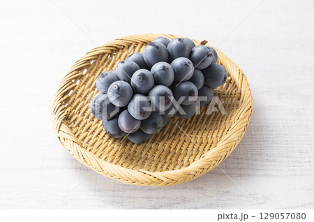 種無しピオーネ 種無しピオーネ 129057080