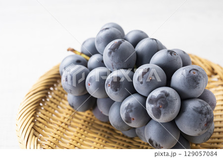 種無しピオーネ 129057084