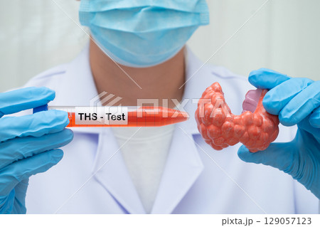 Doctor holding thyroid gland model and blood sample test tube in laboratory. Doctor holding thyroid gland model and blood sample test tube in laboratory. 129057123