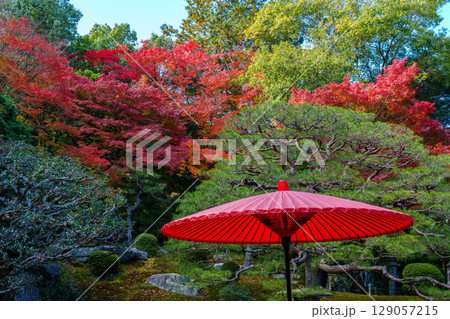 紅葉の中の野点 紅葉の中の野点 129057215