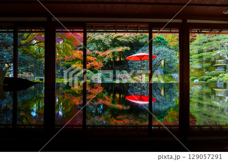 朱塗りの傘と紅葉が映る旧竹林院 朱塗りの傘と紅葉が映る旧竹林院 129057291