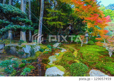 紅葉に彩られた竹林院の庭園 129057459