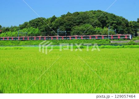 夏空と緑が眩しい盛夏の京成線を往く都営5500形。 夏空と緑が眩しい盛夏の京成線を往く都営5500形。 129057464