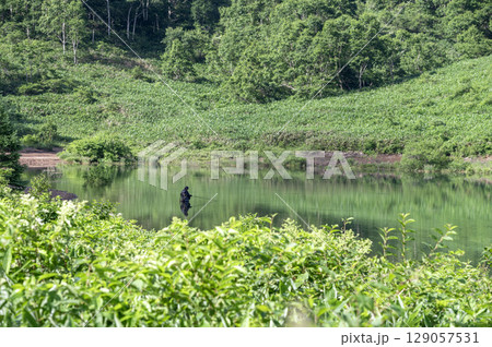 緑豊かな山々に囲まれた野反湖の風景 129057531