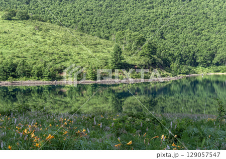 緑豊かな山々に囲まれた野反湖の風景 129057547
