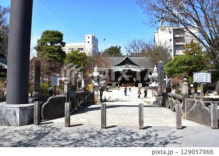 松本市　四柱神社の御幸橋と社殿と参拝者 129057866