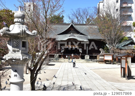 松本市 四柱神社の社殿と参拝者 松本市 四柱神社の社殿と参拝者 129057869