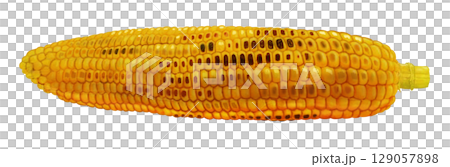 grilled corn illustration 129057898