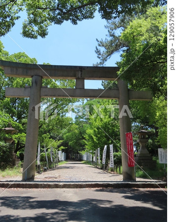 史跡和歌山城、虎伏山とらふすやまに立つ和歌山県のシンボル、紀州徳川家の居城、護国神社の鳥居 129057906