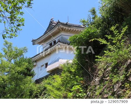 史跡和歌山城、虎伏山とらふすやまに立つ和歌山県のシンボル、紀州徳川家の居城、青空に白壁の城 129057909