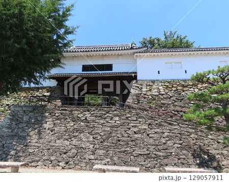 史跡和歌山城、虎伏山とらふすやまに立つ和歌山県のシンボル、紀州徳川家の居城、青空に白壁の城 129057911