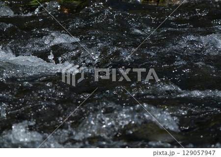 清流 清流 129057947