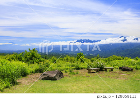 花満開の富士見高原リゾート 創造の森 花満開の富士見高原リゾート 創造の森 129059113
