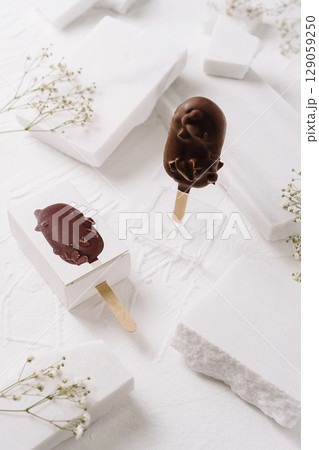Chocolate-coated ice cream pops on a white surface with decorations Chocolate-coated ice cream pops on a white surface with decorations 129059250