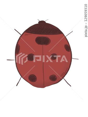 てんとう虫 129059310
