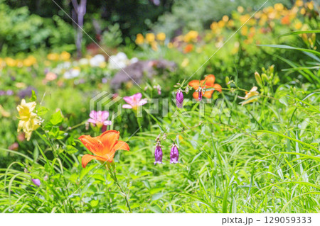 花満開の富士見高原リゾート　白樺エリア 129059333