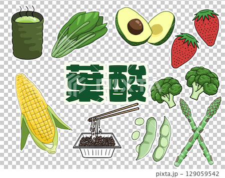 葉酸圖像插圖（無背景）（日文） 129059542