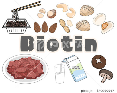 ビオチンのイメージイラスト（背景なし）（英語） 129059547