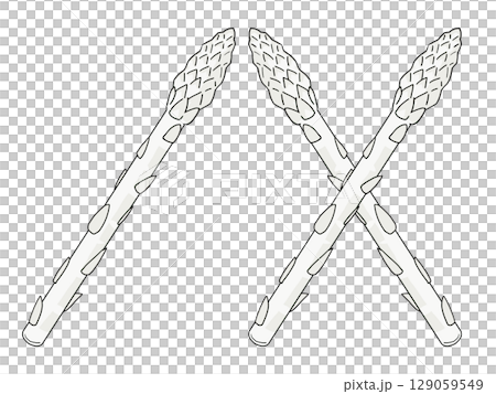 白蘆筍插圖 白蘆筍插圖 129059549