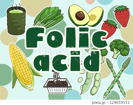 葉酸のイメージイラスト（背景あり）（英語） 129059551