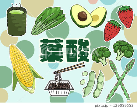 葉酸のイメージイラスト（背景あり）（日本語） 129059552