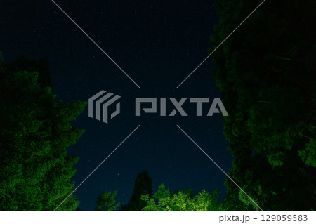 森の中から見える星空 129059583