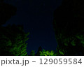 森の中から見える星空 129059584