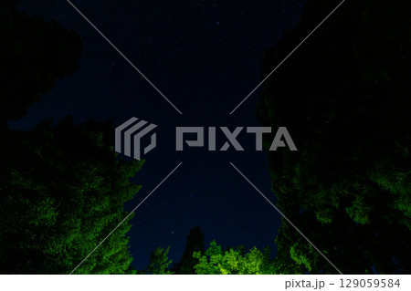 森の中から見える星空 129059584