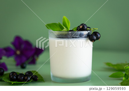Blackcurrant and homemade yogurt in a transparent glass on a green background 129059593