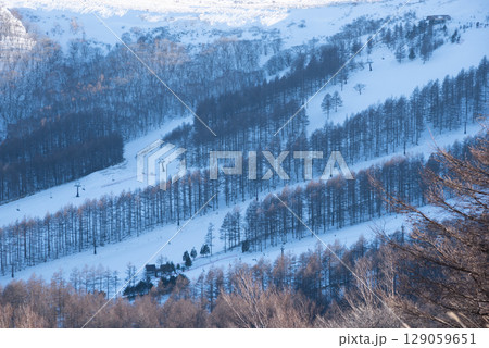 長野県　ブランシュたかやまスキーリゾートからの眺望 129059651