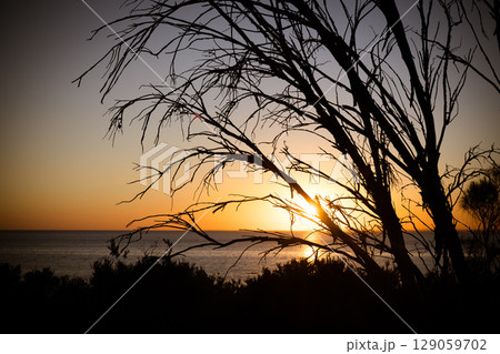 St Kilda Foreshore at Night in Melbourne Australia 129059702